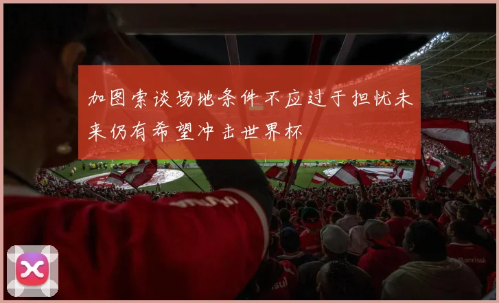 加图索谈场地条件不应过于担忧未来仍有希望冲击世界杯