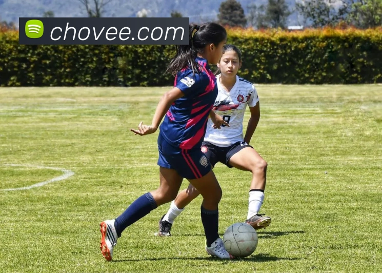 米兰app体育下载发展历程